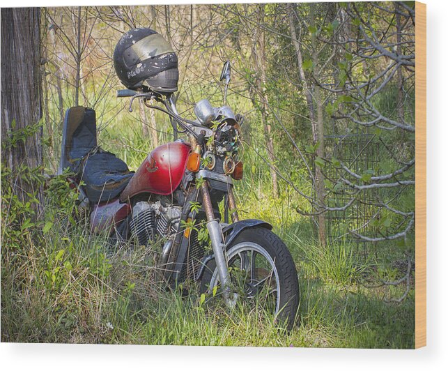 Lost Wood Print featuring the photograph Abandoned and Forgotten Road Warrior by Bob Decker