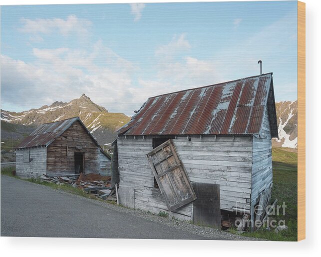 Independence Mine Wood Print featuring the photograph Abandoned Mine Buildings by Paul Quinn
