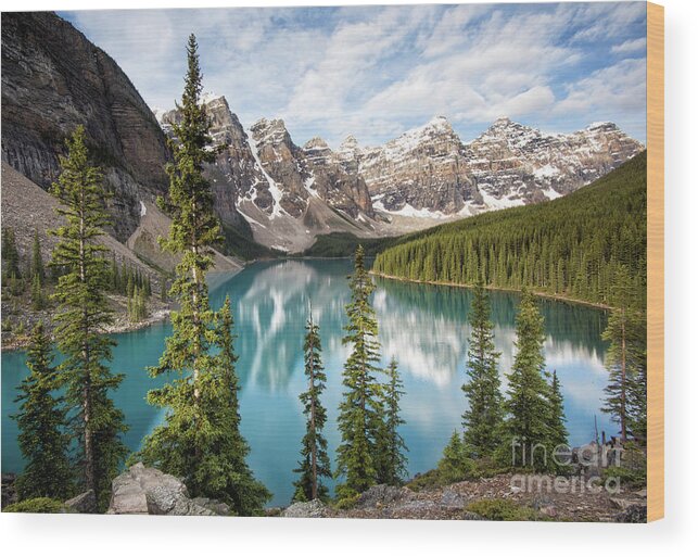 Valley Of Ten Peaks Wood Print featuring the photograph Above Lake Moraine by Art Cole