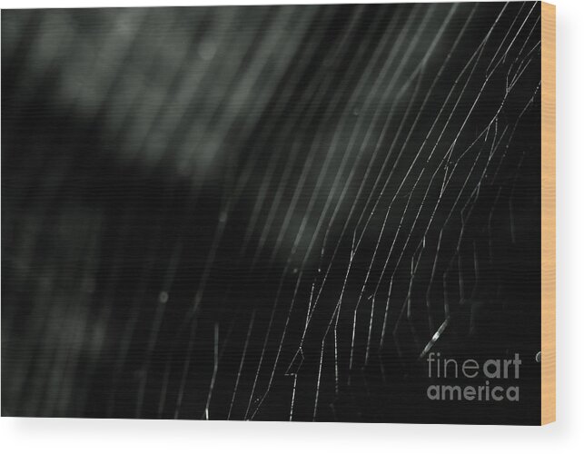  Background Wood Print featuring the photograph Abstract Cobweb by Yurix Sardinelly