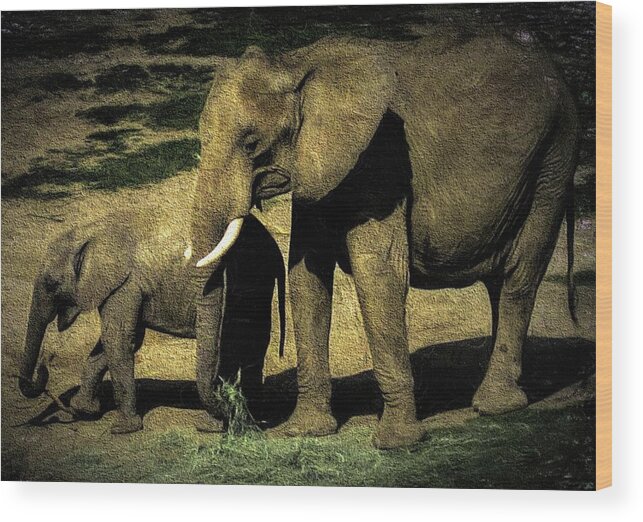 Elephants Wood Print featuring the photograph Abstract Elephants 23 by Kristalin Davis by Kristalin Davis