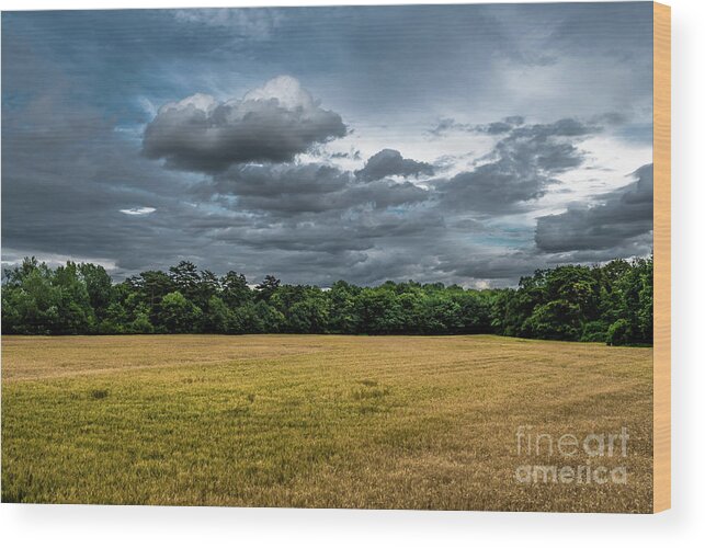 Acre Wood Print featuring the photograph Acre with corn with forest and cloudy sky by Andreas Berthold