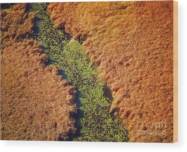 Aerial Wood Print featuring the photograph Aerial Farm Stream Lillies by Tom Jelen