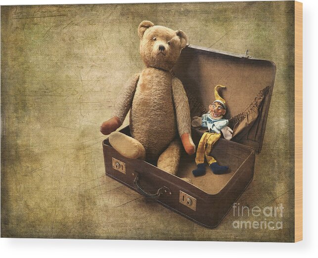 Photo Wood Print featuring the photograph Aged Toys by Jutta Maria Pusl