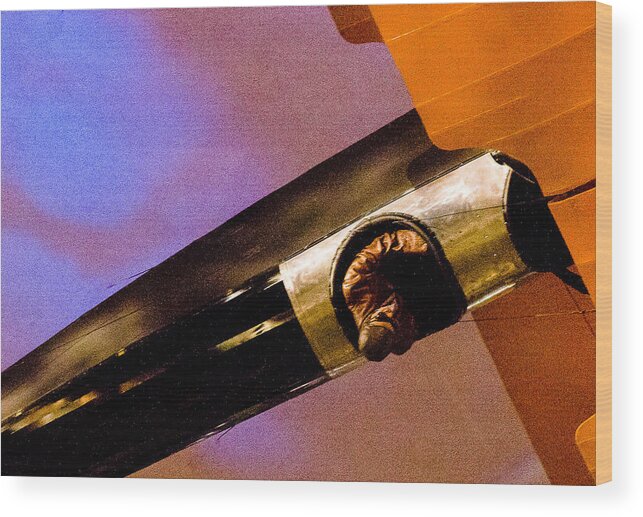 Aircraft Wood Print featuring the photograph Air Mail by Michael Nowotny
