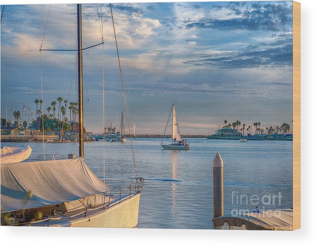 Naples Canals Wood Print featuring the photograph Alamitos Bay inlet Sailboat by David Zanzinger