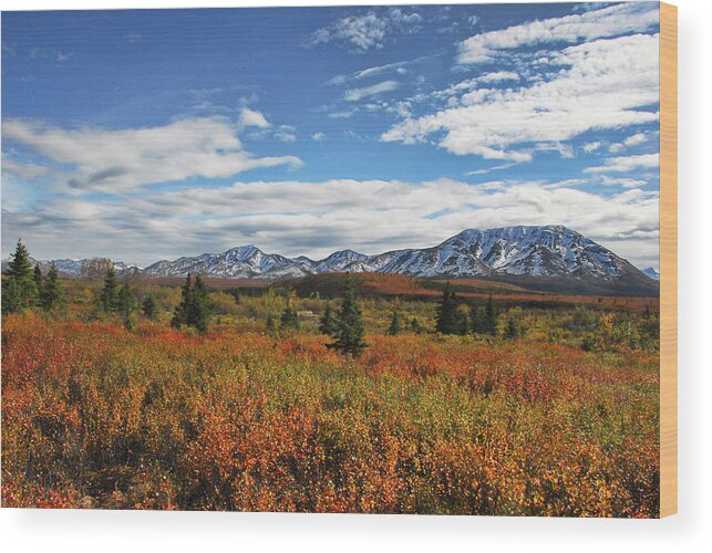 Alaskan Landscape In Autumn Wood Print featuring the photograph Alaskan Landscape in Autumn by Phyllis Taylor