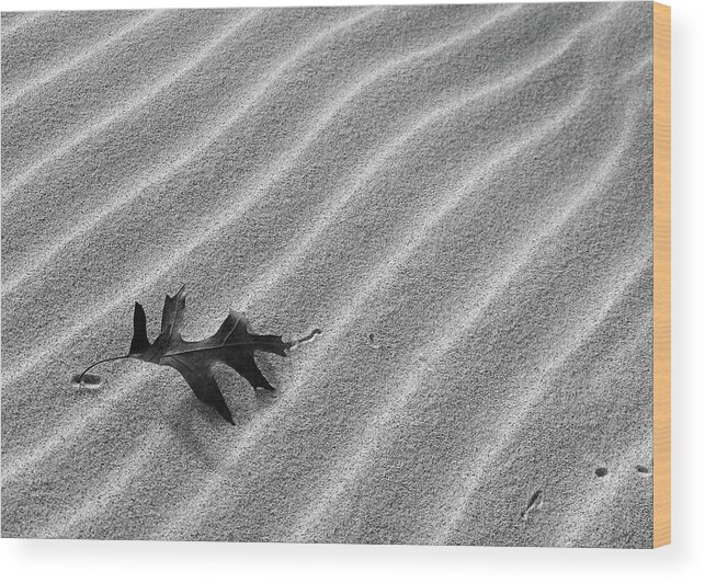 Leaf Wood Print featuring the photograph Alone by Kathi Mirto