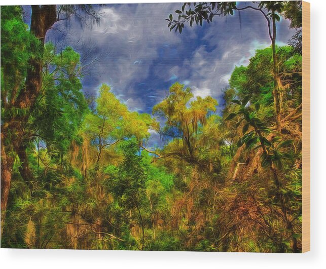 Landscape Wood Print featuring the photograph Altered State by John M Bailey