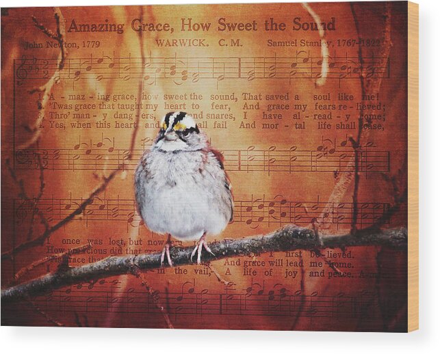 Birds Wood Print featuring the photograph Amazing Grace by Trina Ansel