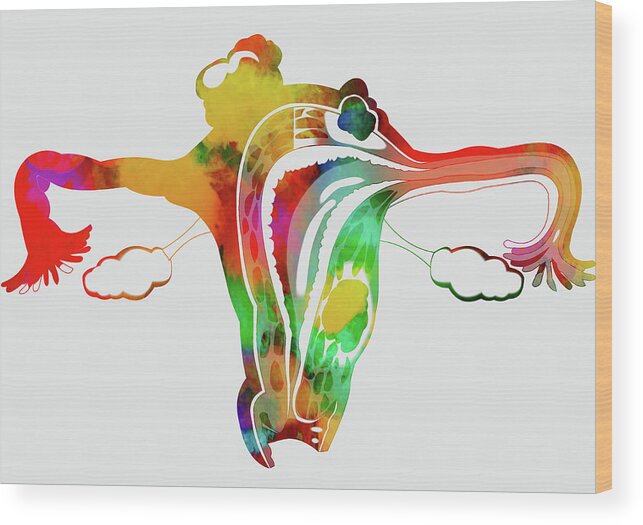 Medical Art Wood Print featuring the mixed media Anatomical Ovaries by Ann Leech