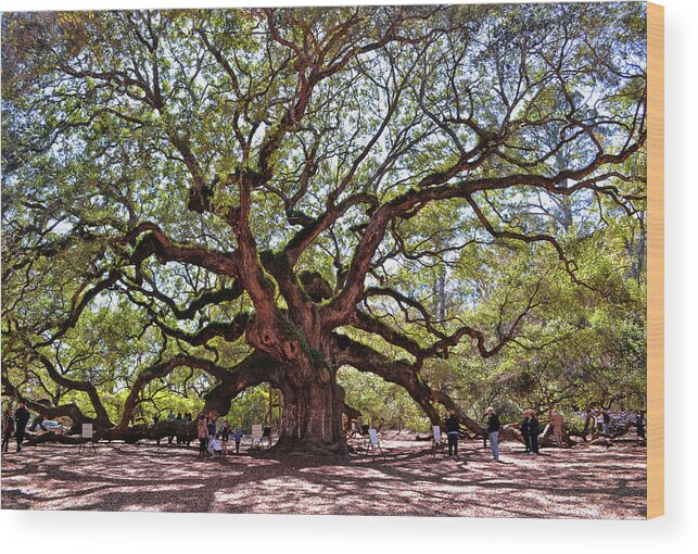Tree Wood Print featuring the photograph Angel Oak Tree 009 by George Bostian