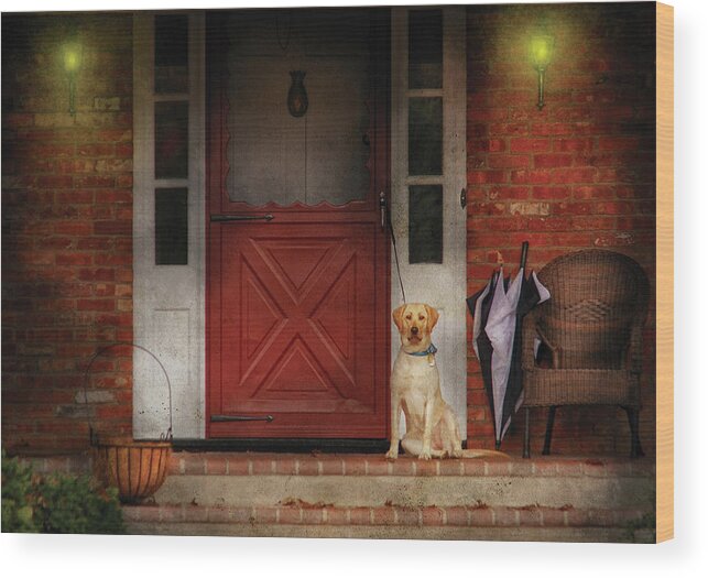 Savad Wood Print featuring the photograph Animal - Dog - Waiting for my Master by Mike Savad