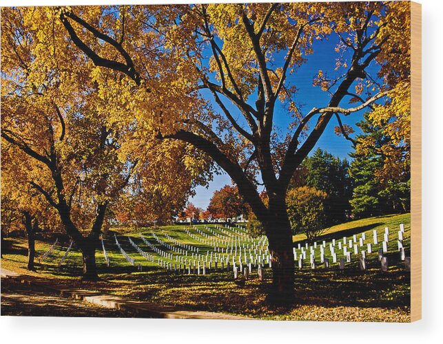 Fall Wood Print featuring the photograph Arlington Cemetery in the fall by Bill Jonscher