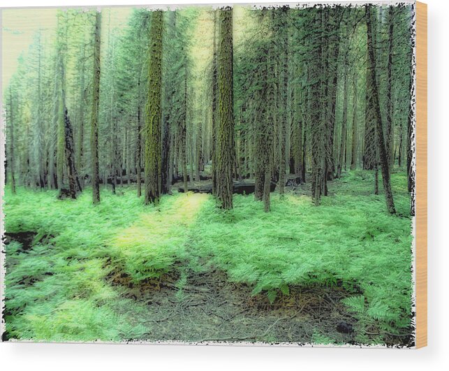 Landscape Wood Print featuring the photograph At Peace by Michael Cleere