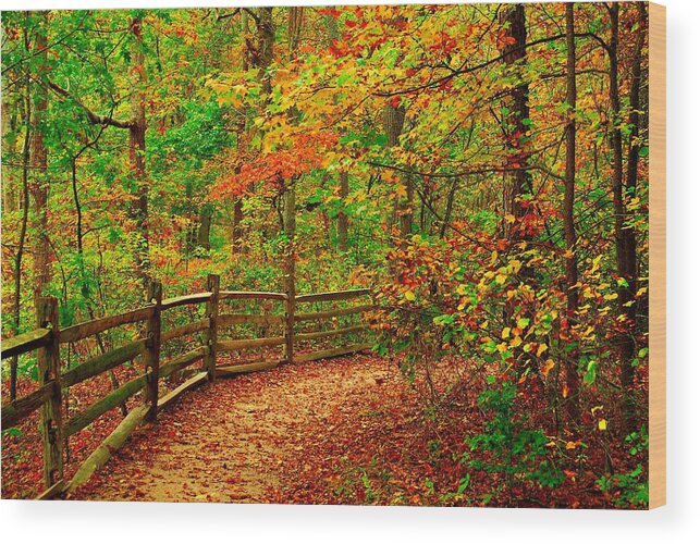 Autumn Landscapes Wood Print featuring the photograph Autumn Bend - Allaire State Park by Angie Tirado