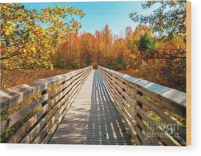 Autumn Wood Print featuring the photograph Autumn Bridge by Anthony Sacco