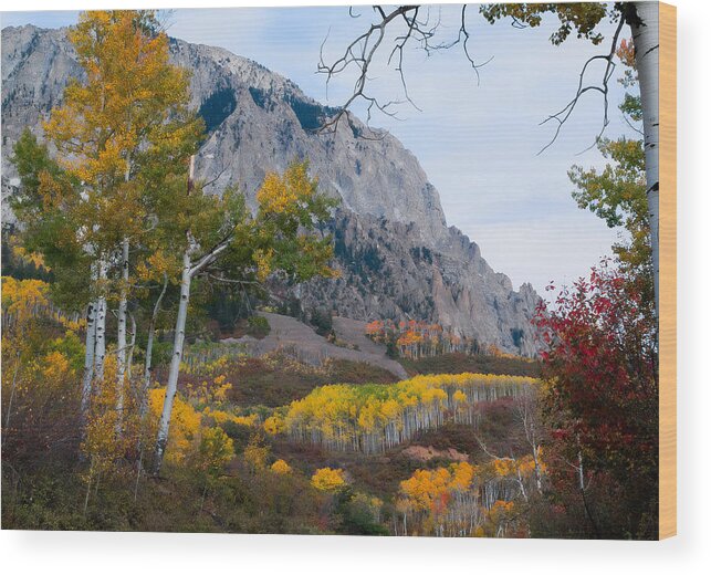 Colorado Art Wood Print featuring the photograph Autumn Days by Tim Reaves