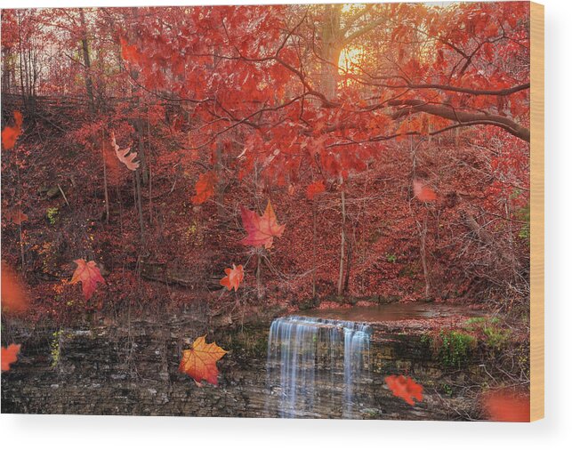 Bruce Trail Wood Print featuring the photograph Autumn Falls by Tracy Munson