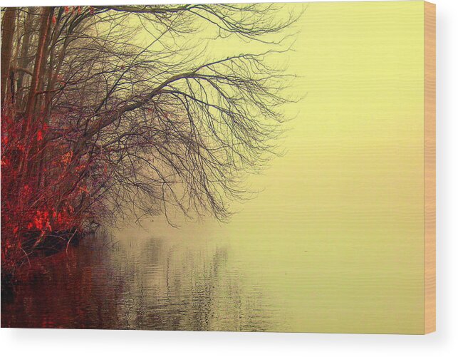Akeview Wood Print featuring the photograph Autumn lake by Aron Chervin