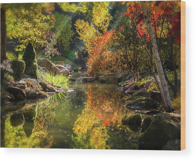 5dmkiv Wood Print featuring the photograph Autumn Reflections by Mark Mille