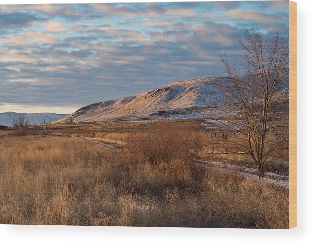 Cold Wood Print featuring the photograph Bald Mountain at Dawn by The Couso Collection