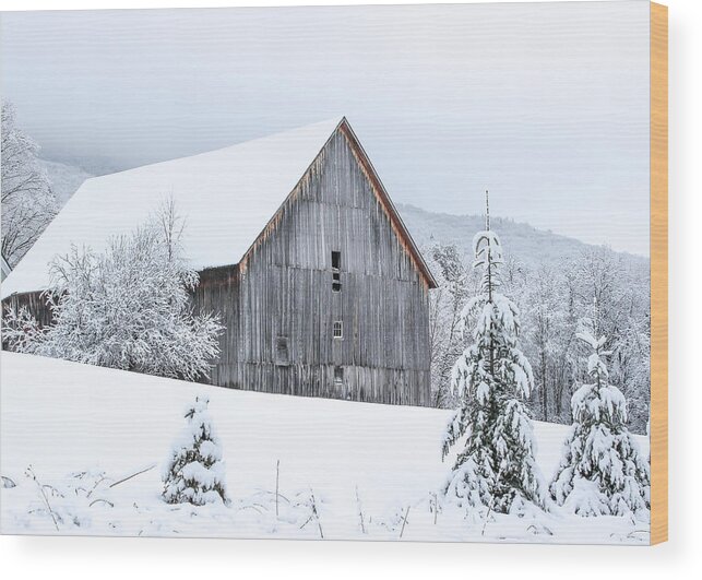 Barn Wood Print featuring the photograph Barn After Snow by Tim Kirchoff