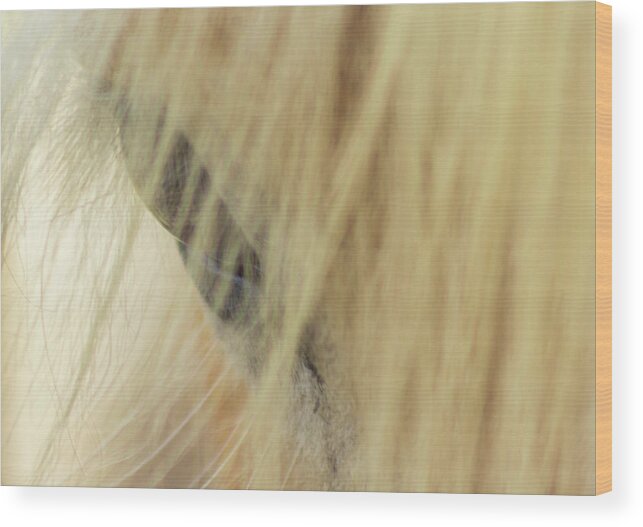 Horse Wood Print featuring the photograph Bashful by Holly Ross
