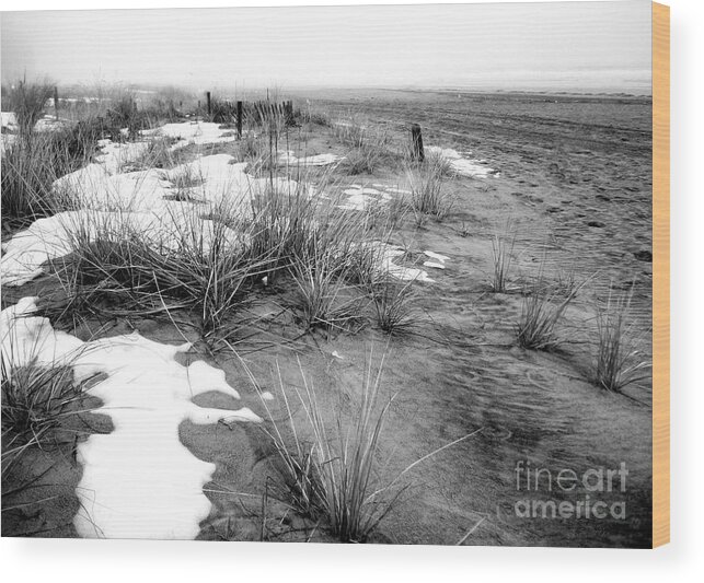 Beach Wood Print featuring the photograph Beach Creme Frosting by DazzleMePhotography