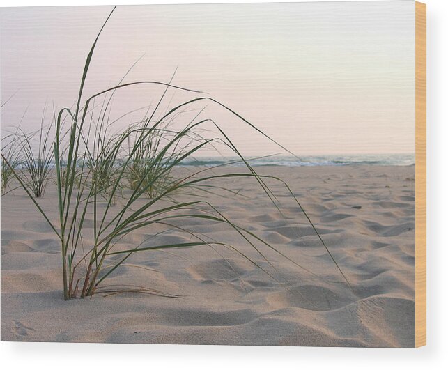 Beach Wood Print featuring the photograph Beach Grass by Laura Kinker