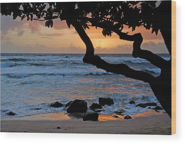 Sunrise Wood Print featuring the photograph Beach Sunrise by Ted Keller