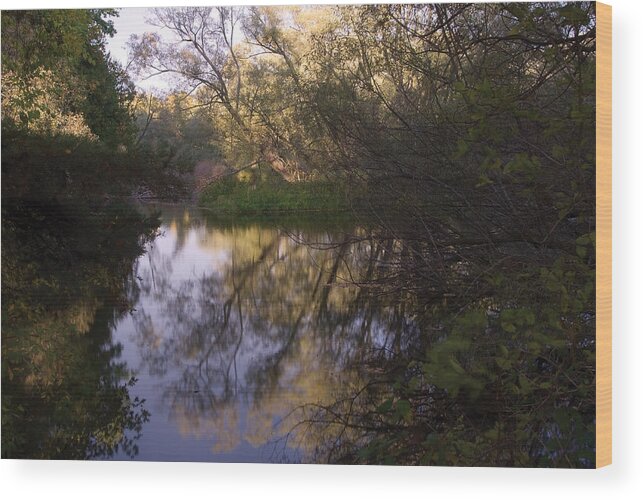 Nature Wood Print featuring the photograph Beaver River reflection by Steve Somerville
