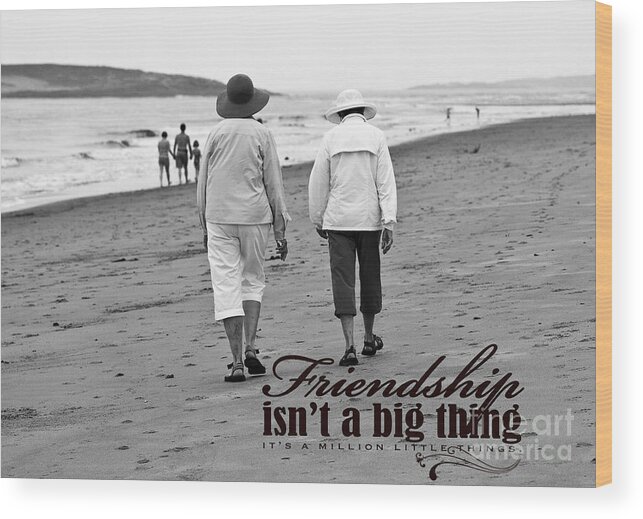 Best Friends Wood Print featuring the photograph Best Friends by Brenda Giasson