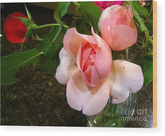 Roses Wood Print featuring the photograph Betty's Roses by Anita Adams