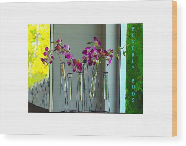 Flowers Wood Print featuring the digital art Beverly Buds 1 by Karen Francis