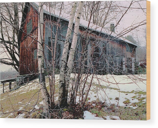 Nyoda Girls Camp Wood Print featuring the digital art Birch Trees with Antique Barn, Winter Dusk at Camp Nyoda 1988 by Kathy Anselmo