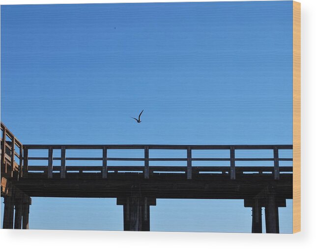 Sky Wood Print featuring the photograph Bird Over Pier by Matt Quest