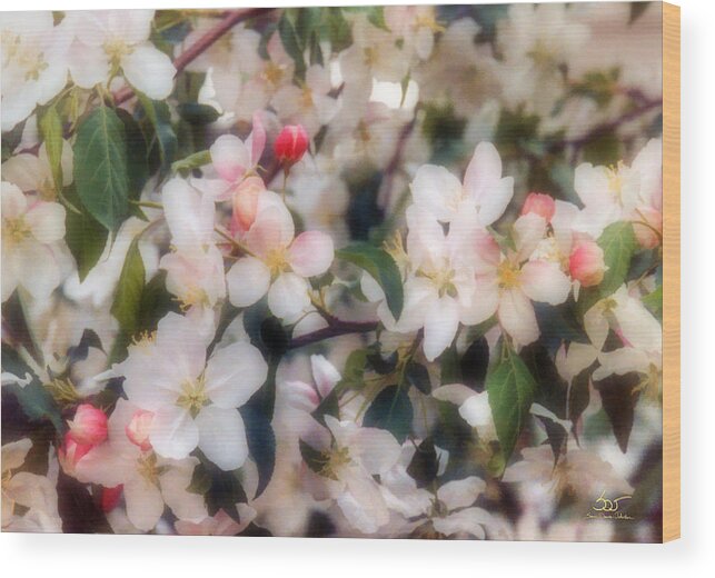 Flower Wood Print featuring the photograph Blossom by Sam Davis Johnson