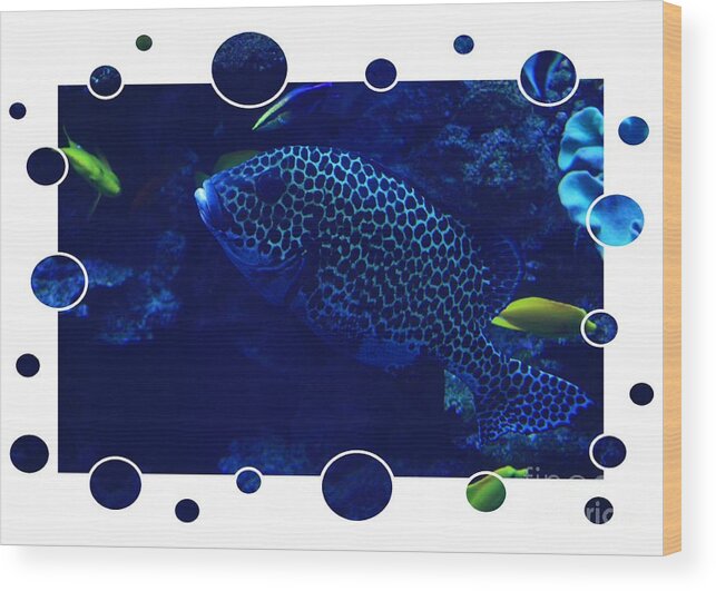 Blue Wood Print featuring the photograph Blue Fish by Carol Groenen