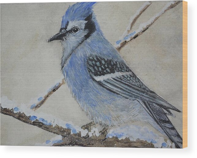 Bird Wood Print featuring the painting Blue Jay Rest by Kellie Chasse