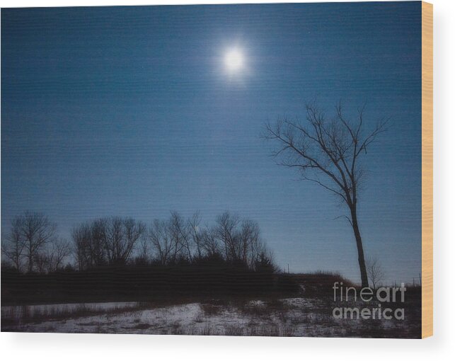 Blue Moon Wood Print featuring the photograph Blue Moon over Kansas by Fred Lassmann