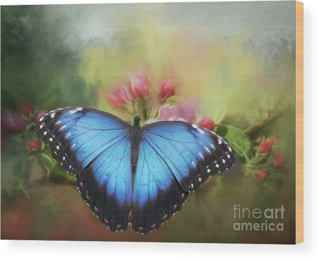 Blue Morpho Wood Print featuring the photograph Blue Morpho on a Blossom by Eva Lechner