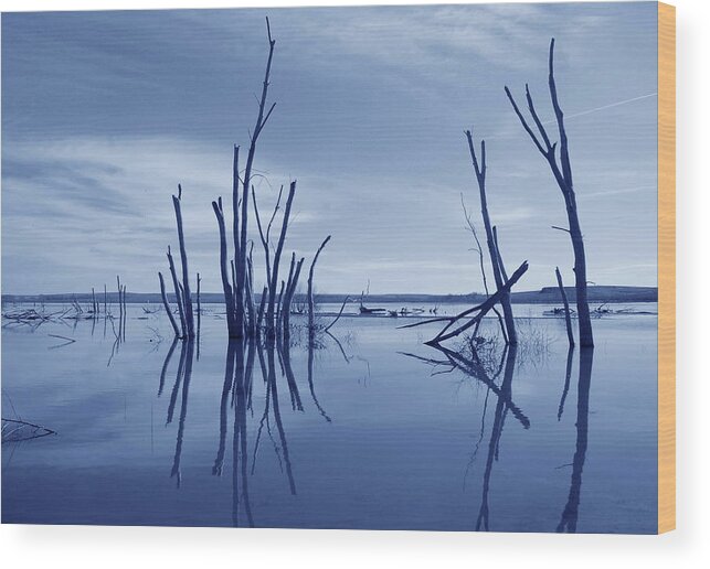 Water Wood Print featuring the photograph Blue Reflections by Kathleen Stephens