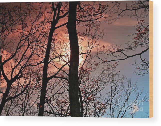 Blueridge Wood Print featuring the photograph Blue Ridge Mountains Virginia Sunset II by Karen Jorstad
