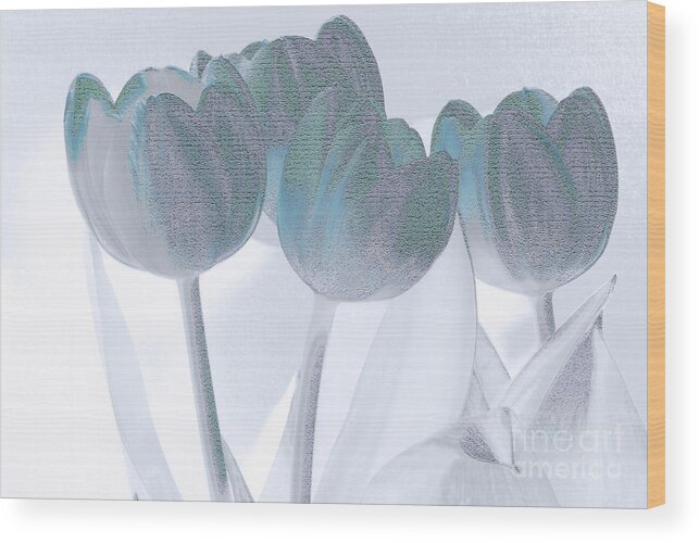Floral Wood Print featuring the photograph Blue Tulips by Karen Lewis