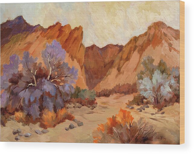 Box Canyon Wood Print featuring the painting Box Canyon by Diane McClary