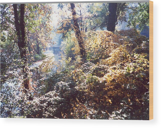 Colorful Wood Print featuring the photograph Brandywine Foliage by Emery Graham