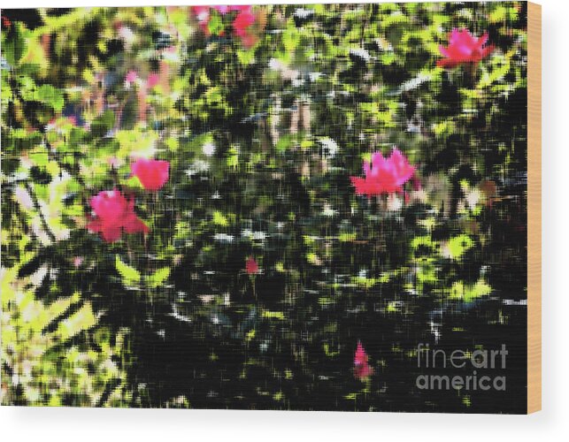 Painterly Wood Print featuring the photograph Budding Pink Flowers - Impressionism by Frank J Casella