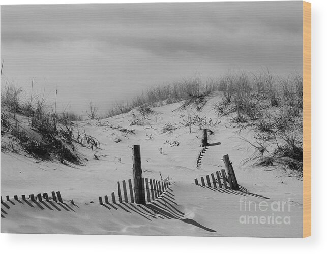 Cape Henlopen Wood Print featuring the photograph Buried Fences Black and White Coastal Landscape Photo by PIPA Fine Art - Simply Solid