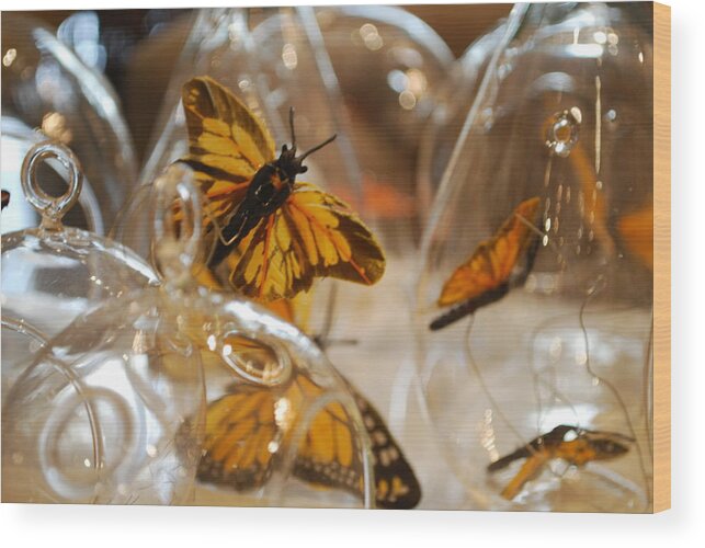 Butterfly Wood Print featuring the photograph Butterflies and Glass II by Emily Page